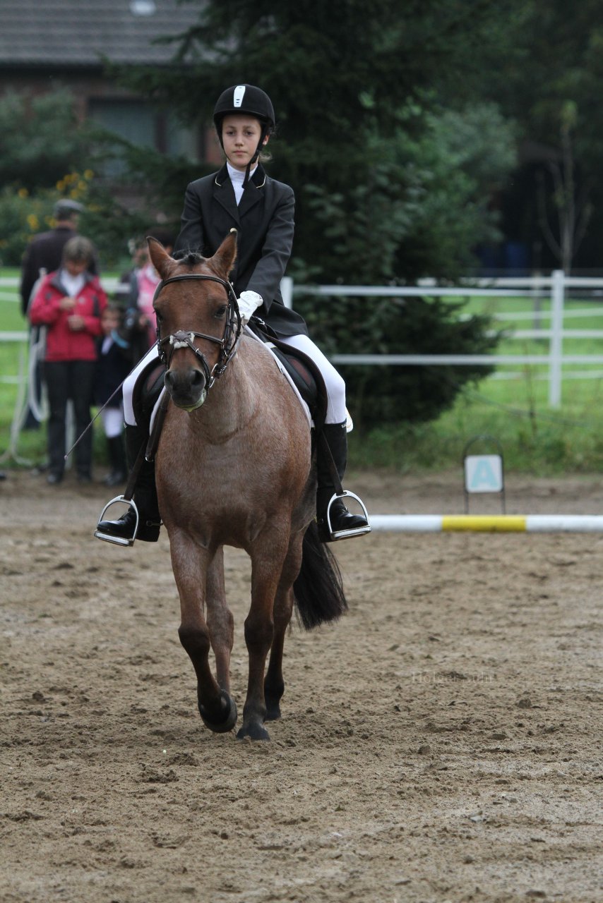 Bild 246 - WBO-Turnier am 18.9.11